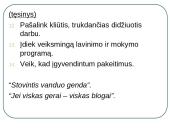 Ūkio ir ekonominės sistemos modelis 14 puslapis