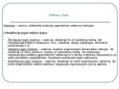 Ūkio ir ekonominės sistemos modelis 16 puslapis