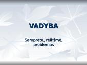 Vadyba. Samprata, reikšmė, problemos