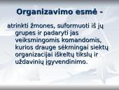 Vadyba. Samprata, reikšmė, problemos 11 puslapis