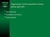 Vadybos funkcijos. Planavimas 13 puslapis