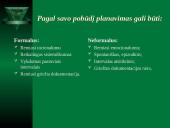 Vadybos funkcijos. Planavimas 14 puslapis