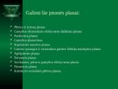 Vadybos funkcijos. Planavimas 16 puslapis