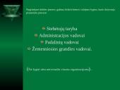 Vadybos funkcijos. Planavimas 10 puslapis