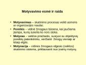 Vadovavimas ir vadybos funkcijos 11 puslapis