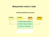 Vadovavimas ir vadybos funkcijos 12 puslapis