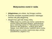 Vadovavimas ir vadybos funkcijos 13 puslapis