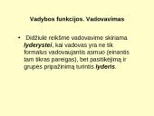 Vadovavimas ir vadybos funkcijos 4 puslapis