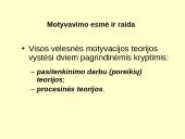 Vadovavimas ir vadybos funkcijos 8 puslapis