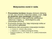 Vadovavimas ir vadybos funkcijos 10 puslapis