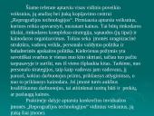 Vadybos objektas. Išorinė organizacijų aplinka 2 puslapis