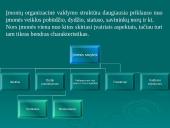 Vadybos objektas. Išorinė organizacijų aplinka 11 puslapis