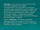 Vadybos objektas. Išorinė organizacijų aplinka 16 puslapis