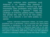 Vadybos objektas. Išorinė organizacijų aplinka 19 puslapis