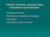 Vadybos objektas. Išorinė organizacijų aplinka 3 puslapis