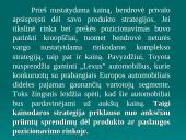 Vadybos objektas. Išorinė organizacijų aplinka 5 puslapis