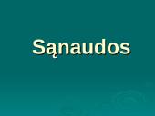 Vadybos objektas. Išorinė organizacijų aplinka 8 puslapis