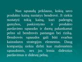 Vadybos objektas. Išorinė organizacijų aplinka 9 puslapis