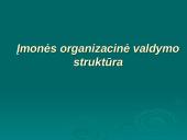 Vadybos objektas. Išorinė organizacijų aplinka 10 puslapis