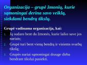 Vadybos samprata. Organizacija 2 puslapis