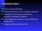 Vadybos samprata. Organizacija 11 puslapis