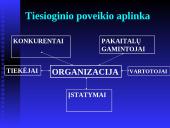 Vadybos samprata. Organizacija 12 puslapis