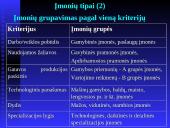 Vadybos samprata. Organizacija 17 puslapis