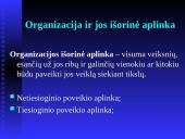 Vadybos samprata. Organizacija 6 puslapis