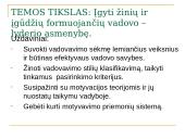 Vadovavimas ir motyvavimas 2 puslapis