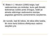 Vadovavimas ir motyvavimas 11 puslapis