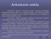 Vadovavimas klasės susirinkimui 13 puslapis