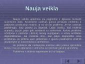 Vadovavimas klasės susirinkimui 14 puslapis