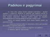 Vadovavimas klasės susirinkimui 15 puslapis
