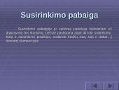 Vadovavimas klasės susirinkimui 16 puslapis