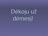 Vadovavimas klasės susirinkimui 17 puslapis