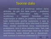 Vadovavimas klasės susirinkimui 3 puslapis