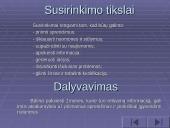 Vadovavimas klasės susirinkimui 4 puslapis