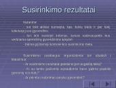 Vadovavimas klasės susirinkimui 8 puslapis