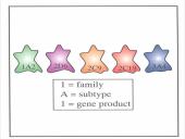Vaistų farmakokinetikos ypatumai 16 puslapis