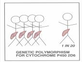 Vaistų farmakokinetikos ypatumai 18 puslapis