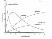 Vaistų farmakokinetikos ypatumai 4 puslapis