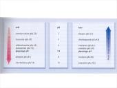 Vaistų farmakokinetikos ypatumai 6 puslapis