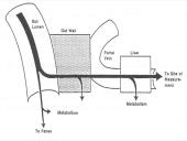 Vaistų farmakokinetikos ypatumai 7 puslapis