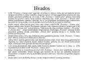 Valdymo analizė: UAB "Švyturys-Utenos alus" 16 puslapis