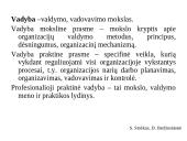 Valdymo analizė: UAB "Švyturys-Utenos alus" 3 puslapis