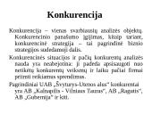 Valdymo analizė: UAB "Švyturys-Utenos alus" 7 puslapis