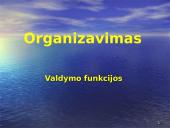 Valdymo funkcijos organizavimas