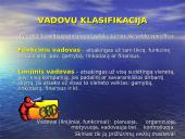 Valdymo funkcijos organizavimas 13 puslapis