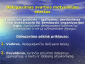 Valdymo funkcijos organizavimas 17 puslapis