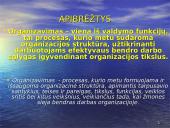 Valdymo funkcijos organizavimas 3 puslapis